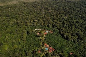 Puerto Maldonado : Circuit de 4 jours à Macaw Clay Lick et hébergement