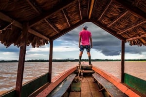 Puerto Maldonado: Tour di 4 giorni del Macaw Clay Lick e alloggio