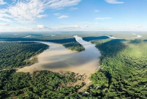 Puerto Maldonado: Macaw Clay Lick 4-dniowa wycieczka i zakwaterowanie