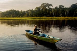 Puerto Maldonado: Macaw Clay Lick 4-Day Tour & Accommodation: Macaw Clay Lick 4-Day Tour & Accommodation