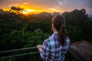 Puerto Maldonado: Tour di 4 giorni del Macaw Clay Lick e alloggio