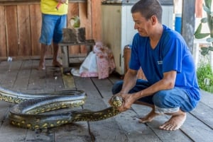 Puerto Maldonado: Tour di 4 giorni del Macaw Clay Lick e alloggio