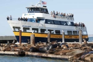 San Francisco: Visita a la prisión de la isla de Alcatraz con crucero por la bahía