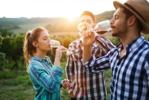 Passeport numérique de dégustation de vins du comté d'Amador