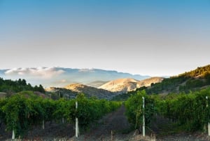 Digitalt pass for vinsmaking i Amador County