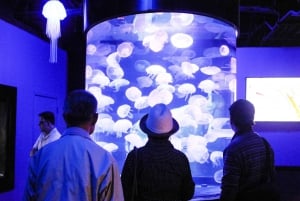 Aquarium of the Bay VIP Tour