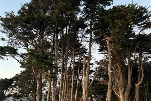 Vandring på Baker Beach