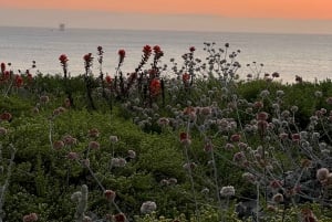 Baker Beach-vandring