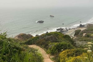 Caminhada em Baker Beach