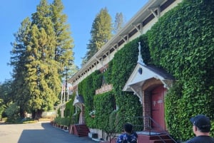 Best of SF: Wine Country, Redwoods, and Hop-on Hop-off Tour