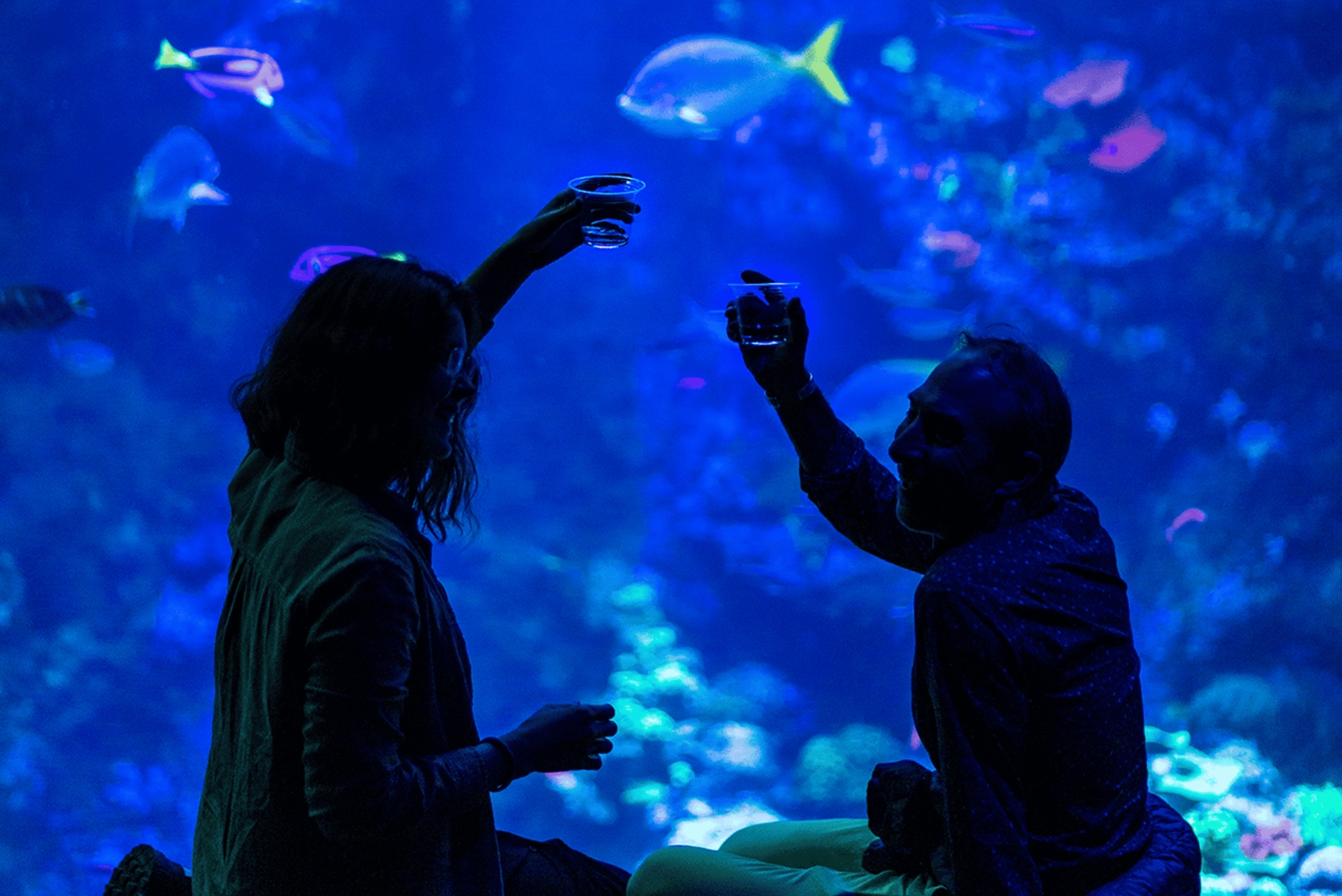 California Academy of Sciences Toegang NightLife Plus