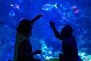 Entrada para o NightLife Plus da California Academy of Sciences