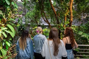 California Academy of Sciences NightLife Plus Admission