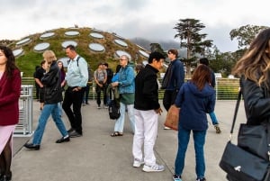 California Academy of Sciences NightLife Plus Admission