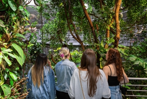 California Academy of Sciences Toegang NightLife Plus