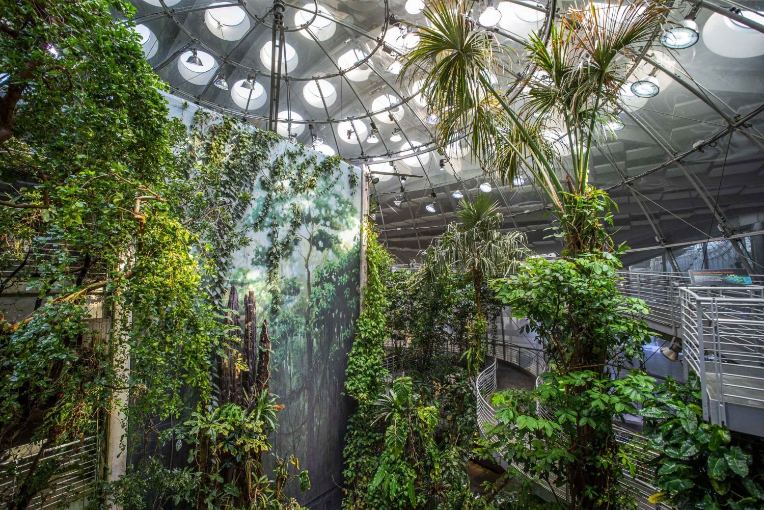 California Academy of Sciences With Golden Gate Park Tour