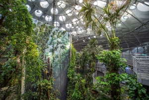 Academia de Ciências da Califórnia com passeio pelo Golden Gate Park