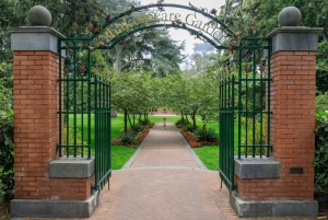 Academia de Ciências da Califórnia com passeio pelo Golden Gate Park