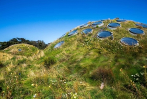 Kalifornische Akademie der Wissenschaften mit Golden Gate Park Tour