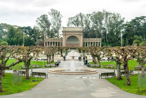 California Academy of Sciences met Golden Gate Park Tour