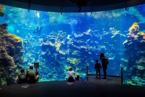 Kalifornische Akademie der Wissenschaften mit Golden Gate Park Tour