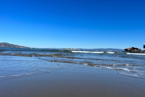 Carmel 1-Way Transfer to/from San Francisco Airport