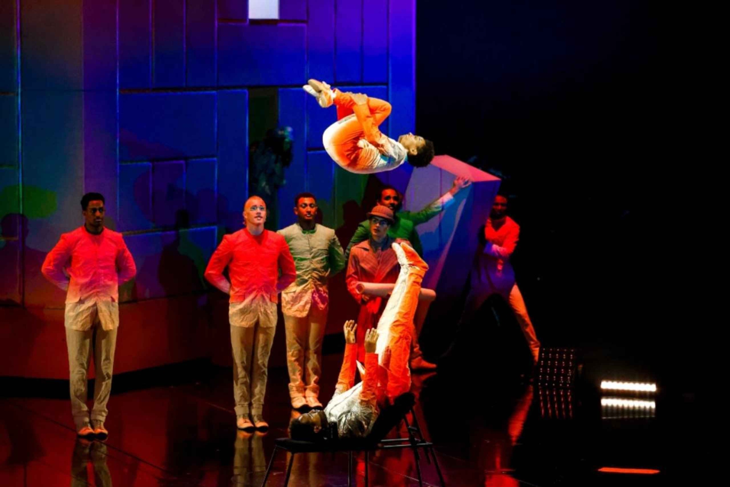 Cirque du Soleil ECHO-biljett