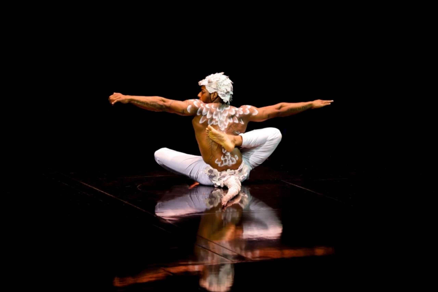 Cirque du Soleil ECHO-biljett