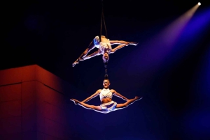 Cirque du Soleil ECHO-biljett