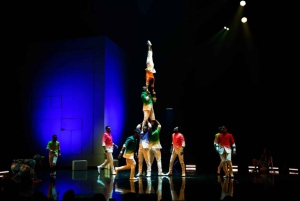 Cirque du Soleil ECHO-biljett