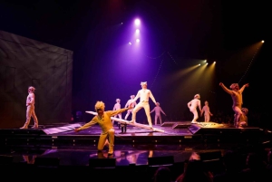 Cirque du Soleil ECHO-biljett