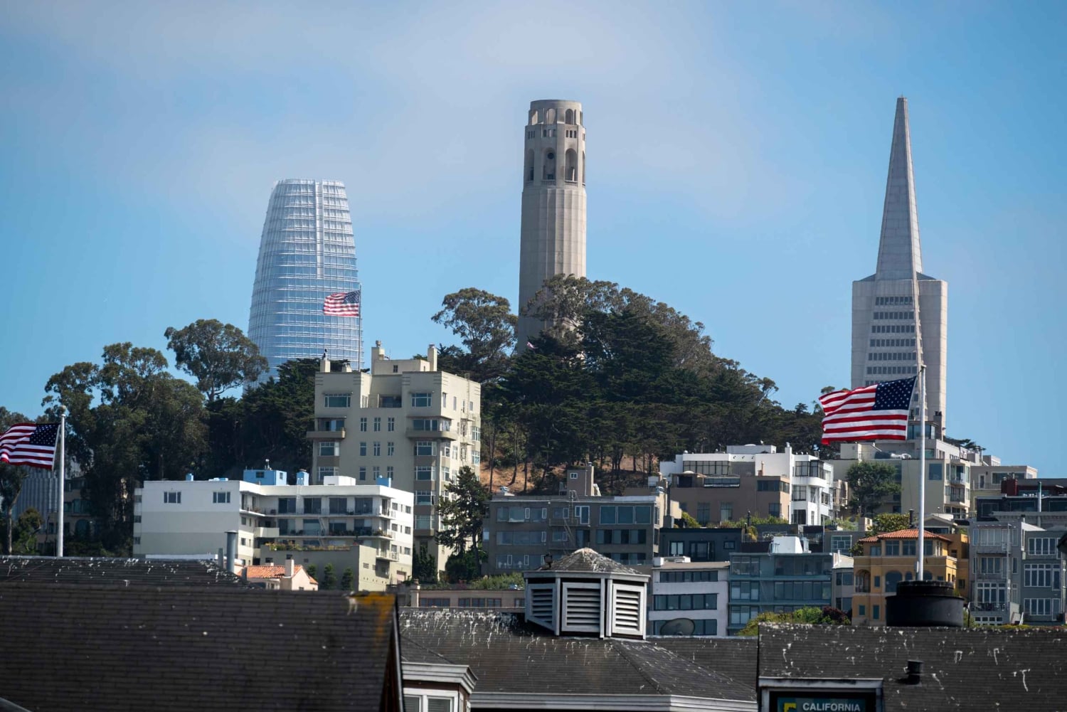 Tour a piedi della Coit Tower e della Little Italy