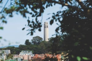 Coit Tower i Little Italy Landmark Walking Tour