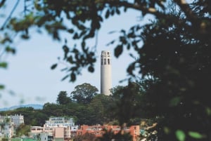 Coit Tower & Little Italy Landmark Walking Tour