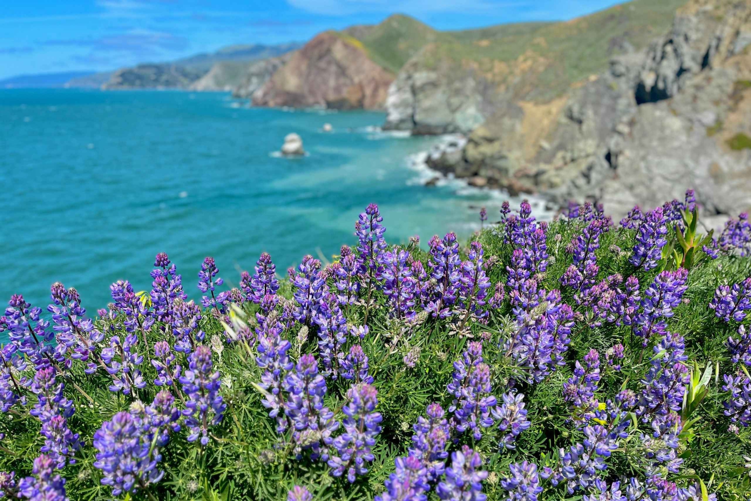 CUSTOM PHOTO ADVENTURES TO THE BAY AREA'S MOST EPIC SCENERY