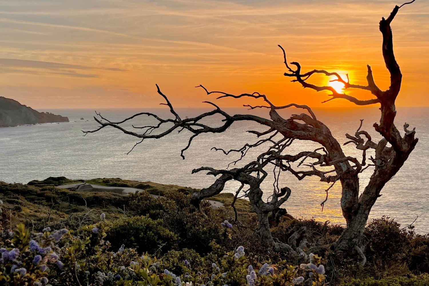 CUSTOM PHOTO ADVENTURES TO THE BAY AREA'S MOST EPIC SCENERY