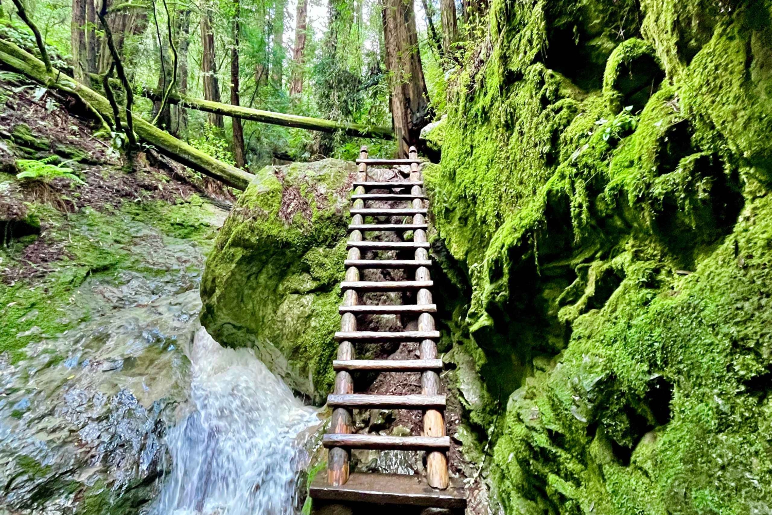 CUSTOM PHOTO ADVENTURES TO THE BAY AREA'S MOST EPIC SCENERY