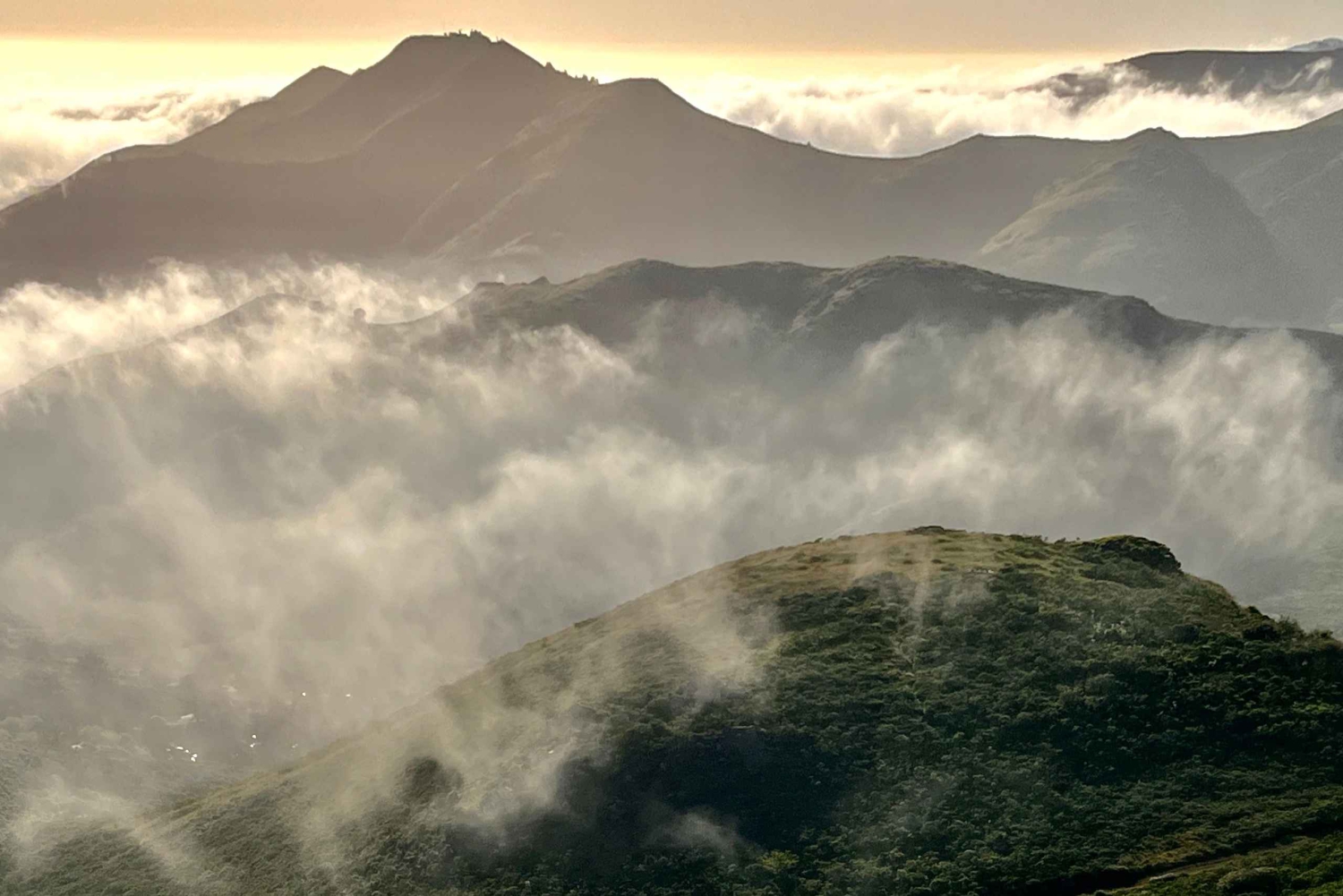 CUSTOM PHOTO ADVENTURES TO THE BAY AREA'S MOST EPIC SCENERY