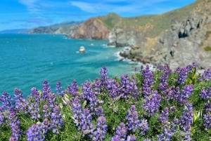 AVENTURES PHOTOGRAPHIQUES PERSONNALISÉES DANS LES PAYSAGES LES PLUS ÉPIQUES DE LA RÉGION DE LA BAIE