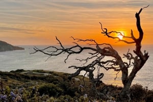 SKRÄDDARSYDDA FOTOÄVENTYR TILL BAY AREAS MEST STORSLAGNA LANDSKAP