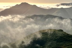 INDIVIDUELLE FOTOABENTEUER ZU DEN SCHÖNSTEN LANDSCHAFTEN IN DER BAY AREA