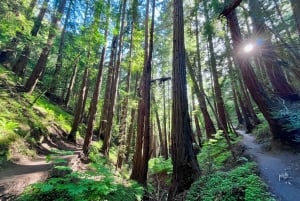 SKREDDERSYDDE FOTOEVENTYR TIL BUKTOMRÅDETS MEST STORSLÅTTE NATUR