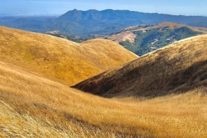 CUSTOM PHOTO ADVENTURES TO THE BAY AREA'S MOST EPIC SCENERY