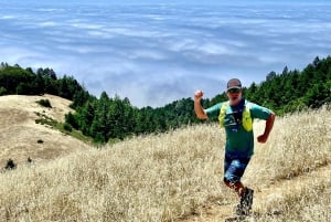 INDIVIDUELLE FOTOABENTEUER ZU DEN SCHÖNSTEN LANDSCHAFTEN IN DER BAY AREA