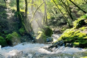 AVENTURES PHOTOGRAPHIQUES PERSONNALISÉES DANS LES PAYSAGES LES PLUS ÉPIQUES DE LA RÉGION DE LA BAIE