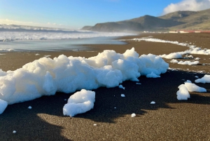 CUSTOM PHOTO ADVENTURES TO THE BAY AREA'S MOST EPIC SCENERY