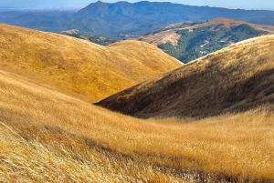 CUSTOM PHOTO ADVENTURES TO THE BAY AREA'S MOST EPIC SCENERY