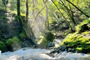 CUSTOM PHOTO ADVENTURES TO THE BAY AREA'S MOST EPIC SCENERY