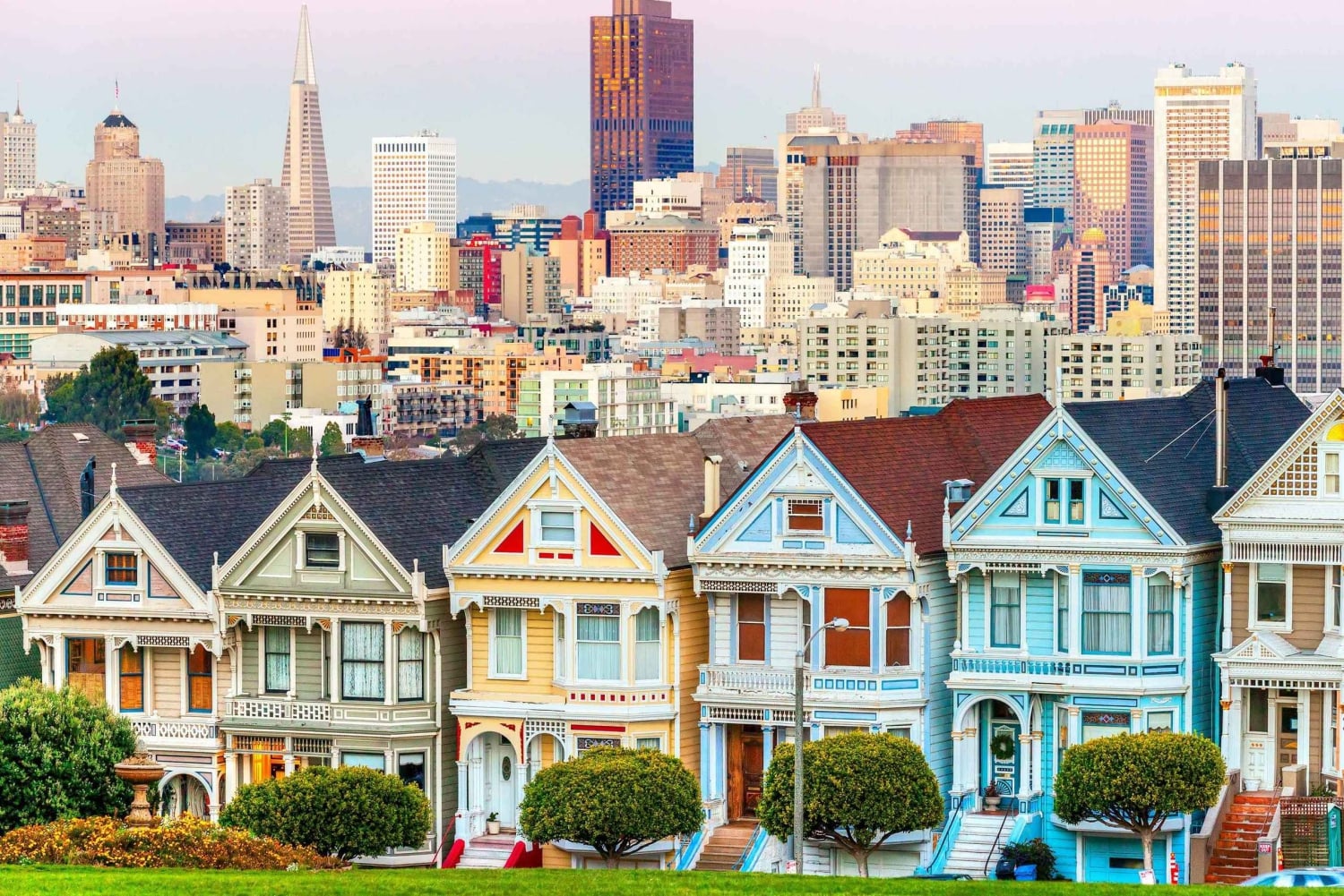 Privétour op maat in een luxe Mercedes