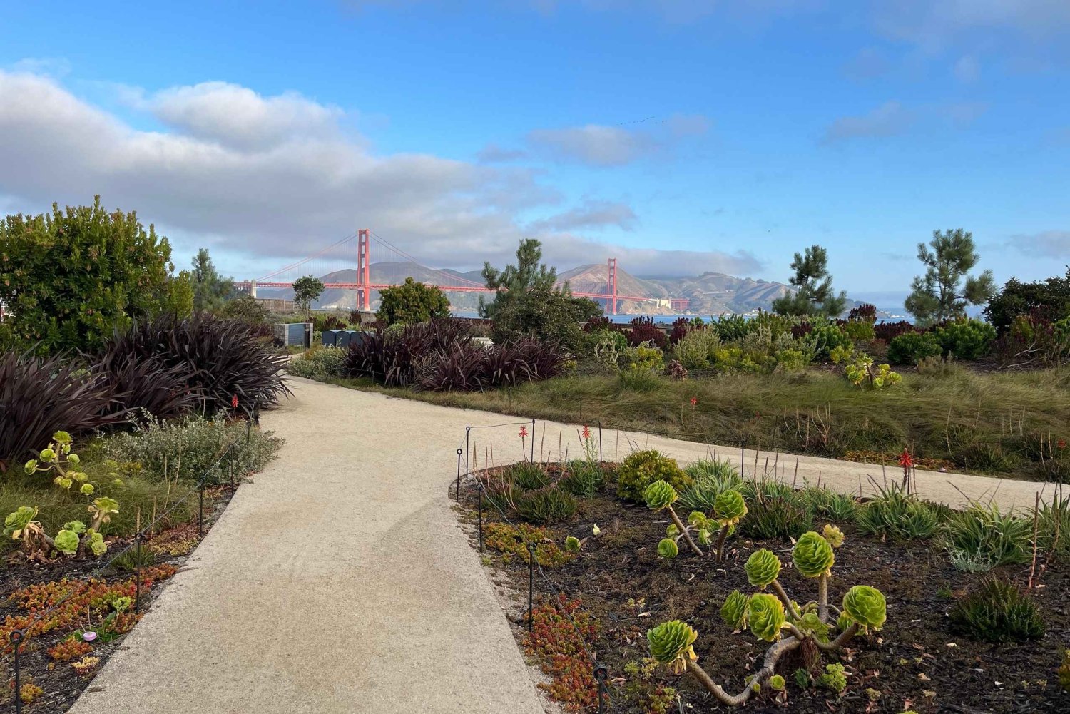 Epic San Francisco Views Urban Hiking Tour – City and Nature